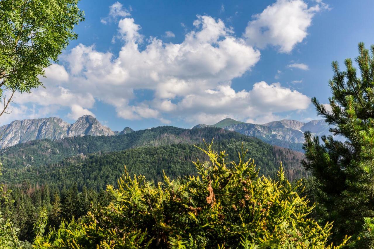 Domy Sywarne Z Sauna I Widokiem Na Gory Kościelisko Dış mekan fotoğraf